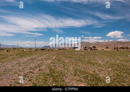 A nomadic Qashqai family living in a tent in Fars Province, Iran. Stock Photo