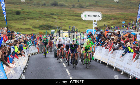 Haytor, Dartmoor, Devon, UK. 09th Sep, 2016. Tour of Britain 2016: Stage 6 - Sidmouth to Haytor. A group, including Briton Alex Dowsett (Movistar, centre-front), climbs up the final climb of Haytor on Stage 6 of the Tour of Britain. Credit:  Clive Jones/Alamy Live News Stock Photo