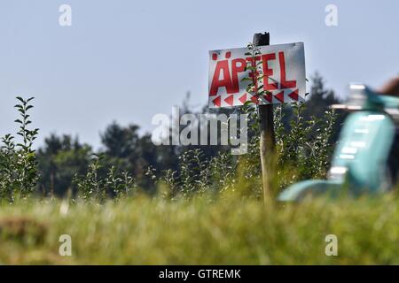 Friedrichshafen, Germany. 09th Sep, 2016. A sign written with 'apples' stands outside of an apple orchard while a moped rides by in the foreground in Friedrichshafen, Germany, 09 September 2016. Photo: FELIX KAESTLE/dpa/Alamy Live News Stock Photo