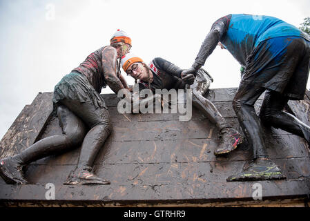 Cheshire, UK 10th September 2016.   Participant is helped over the Skidmarked obstacle at Tough Mudder North West 2016 10/09/2016  Credit:  Gary Mather/Alamy Live News Stock Photo