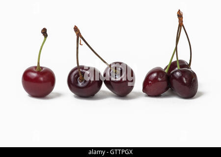 Line of cherries, isolated against white background. Single cherry, two and three cherries with joined stalks Stock Photo