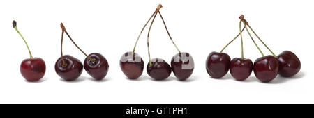 Panoramic line of cherries, isolated against white background. Single cherry, two, three and four cherries with joined stalks Stock Photo