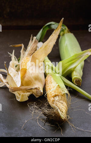 Corn cobs with leaves Stock Photo