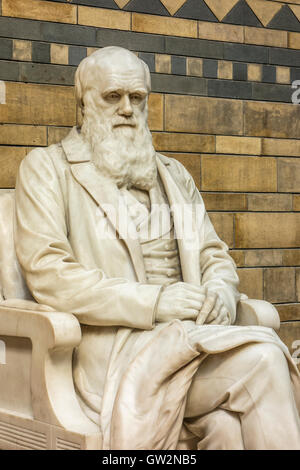 Statue of Charles Darwin, Natural History Museum, London Stock Photo