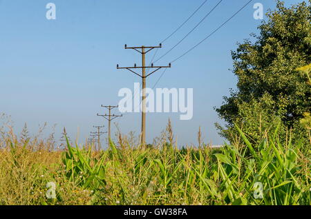 Old metal electric post at summer field, Zavet, Bulgaria Stock Photo