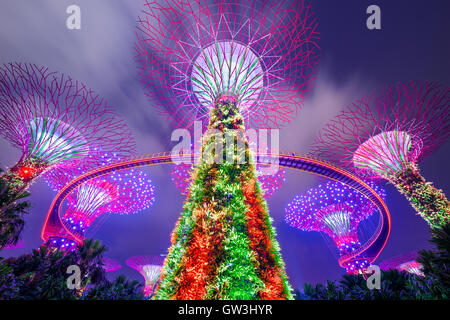 Supertrees at Gardens by the Bay in Singapore. Stock Photo