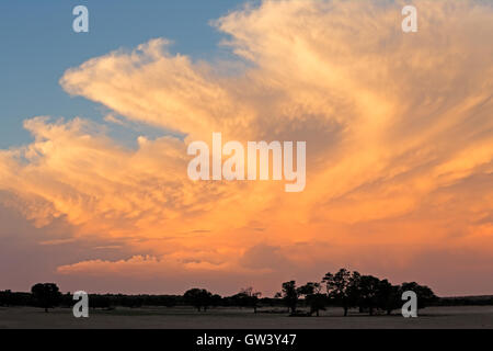 Dramatic late afternoon cloudscape over the Kalahari desert, South Africa Stock Photo