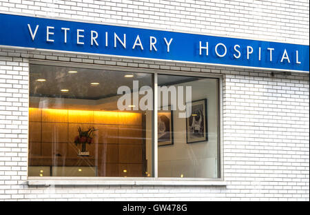 Veterinary hospital Stock Photo