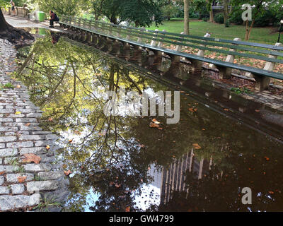 A big puddle in Central Park. Stock Photo