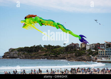 Sydney, Australia. 11th September 2016. Festival of the Winds Australia's Largest Kite flying festival held at Bondi Beach in Sydney. Credit:  mjmediabox / Alamy Live News Stock Photo