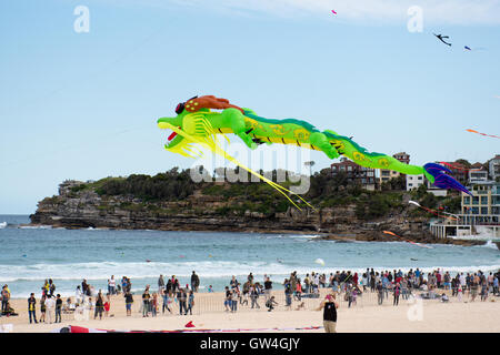 Sydney, Australia. 11th September 2016. Festival of the Winds Australia's Largest Kite flying festival held at Bondi Beach in Sydney. Credit:  mjmediabox / Alamy Live News Stock Photo