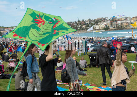 Sydney, Australia. 11th September 2016. Festival of the Winds Australia's Largest Kite flying festival held at Bondi Beach in Sydney. Credit:  mjmediabox / Alamy Live News Stock Photo