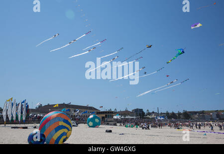 Sydney, Australia. 11th September, 2016. Photo taken on Sept. 11, 2016 shows kites flying over Bondi Beach in Sydney, Australia. Australia's largest kite flying festival, Festival of the Winds, kicked off at Bondi Beach in Sydney on Sunday. The festival attracted lots of local and international kite flyers to show their handmade creations and kite flying skills. Credit:  Xinhua/Alamy Live News Stock Photo