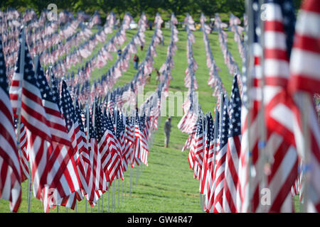 Saint Louis, MO – September 11, 2016: More than 7,000 flags with name, photo and dog tag of soldier killed defending the United States wave outside the St. Louis Art Museum in Saint Louis, Missouri Credit:  Gino's Premium Images/Alamy Live News Stock Photo