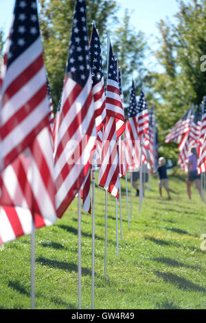 Saint Louis, MO – September 11, 2016: More than 7,000 flags with name, photo and dog tag of soldier killed defending the United States wave outside the St. Louis Art Museum in Saint Louis, Missouri Credit:  Gino's Premium Images/Alamy Live News Stock Photo