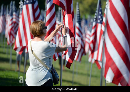 Saint Louis, MO – September 11, 2016: More than 7,000 flags with name, photo and dog tag of soldier killed defending the United States wave outside the St. Louis Art Museum in Saint Louis, Missouri Credit:  Gino's Premium Images/Alamy Live News Stock Photo