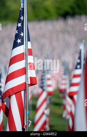 Saint Louis, MO – September 11, 2016: More than 7,000 flags with name, photo and dog tag of soldier killed defending the United States wave outside the St. Louis Art Museum in Saint Louis, Missouri Credit:  Gino's Premium Images/Alamy Live News Stock Photo