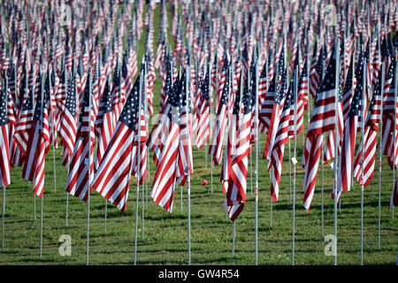 Saint Louis, MO – September 11, 2016: More than 7,000 flags with name, photo and dog tag of soldier killed defending the United States wave outside the St. Louis Art Museum in Saint Louis, Missouri Credit:  Gino's Premium Images/Alamy Live News Stock Photo