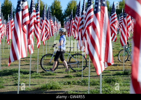 Saint Louis, MO – September 11, 2016: More than 7,000 flags with name, photo and dog tag of soldier killed defending the United States wave outside the St. Louis Art Museum in Saint Louis, Missouri Credit:  Gino's Premium Images/Alamy Live News Stock Photo