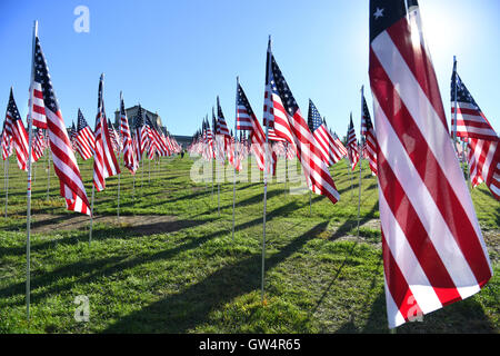 Saint Louis, MO – September 11, 2016: More than 7,000 flags with name, photo and dog tag of soldier killed defending the United States wave outside the St. Louis Art Museum in Saint Louis, Missouri Credit:  Gino's Premium Images/Alamy Live News Stock Photo