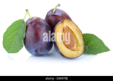 Plums plum prunes prune fresh fruits fruit isolated on a white background Stock Photo