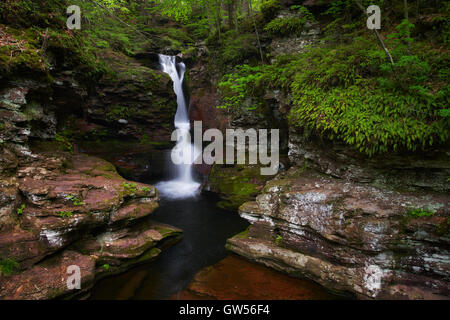 Lewis Run carves its way through Red Rhyolite in Ricketts Glen State Park, Luzerne County, Pennsylvania. Stock Photo