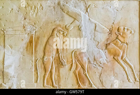 Luxor in Egypt, Assassif (part of the Valley of the Nobles), tomb of Kheruef. A calf, a duck, a monkey and a chest. Stock Photo