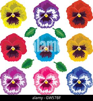 vector collection of pansy flowers and leaves Stock Vector