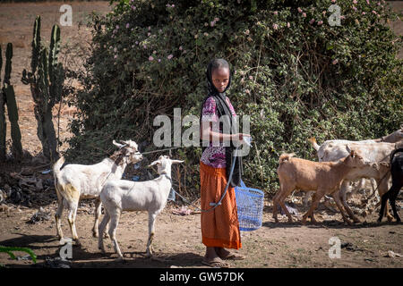 Young Ethiopian girl herds goats on her way to market in the Omo Valley of Ethiopia Stock Photo