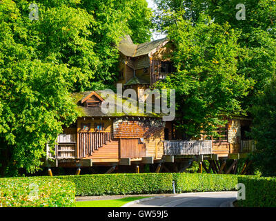 The Treehouse in Alnwick Castle Garden built high in a copse of mature lime trees houses restaurants and other facilities Stock Photo