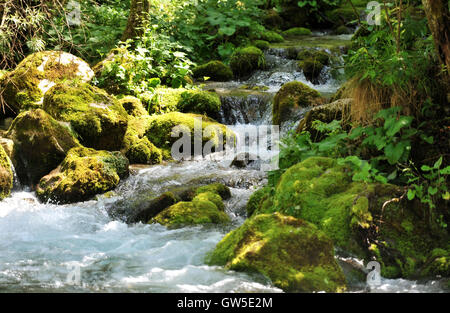 Sunik water, hurst, Lepena valley Stock Photo