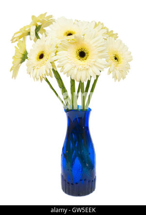 Beige gerbera flowers Stock Photo