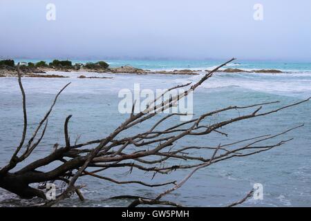 Kaikoura, South Island, Canterbury, New Zealand Stock Photo