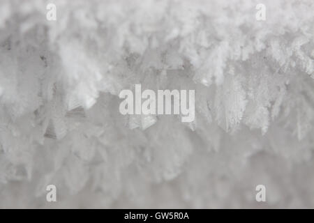 Macro shot from Snowflake Winter background. Snowflakes on snow Stock Photo