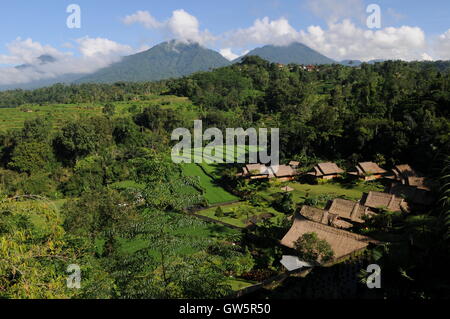 sunlit mountains, houses & rice terraces, Pacung, Bali, Indonesia. credit: Kraig Lieb Stock Photo