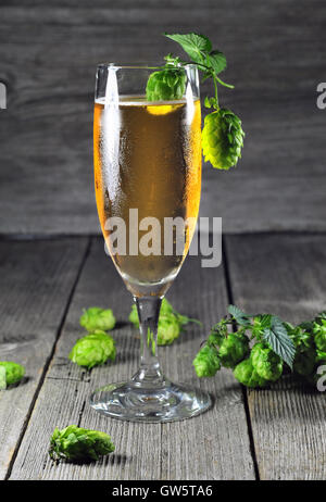 Glass of ice cold beer and green hops Stock Photo