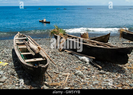 artisanal canoes carved from tree trunks. used as fishing