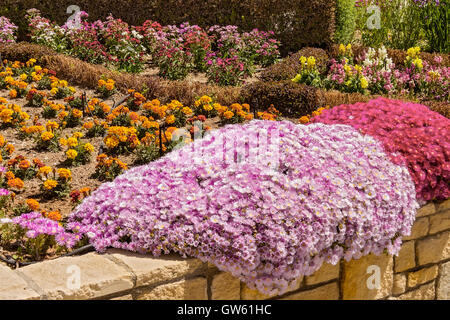 Cyprus Paphos Flowerbed Stock Photo