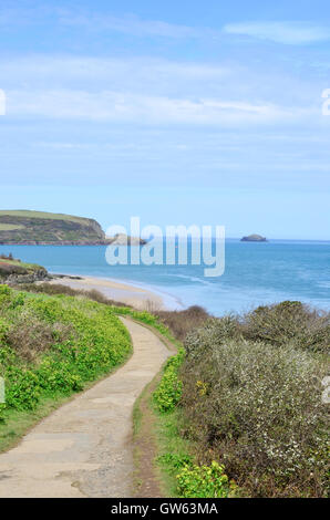 Footpath along the Cornish coastline leaving the town of Padstow, Cornwall, England, UK Stock Photo