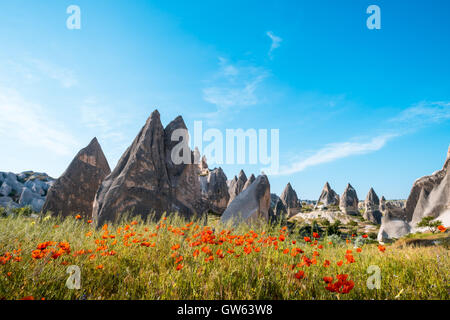 Rock formations and red flowers of Cappadocia in Central Anatolia, Turkey Stock Photo