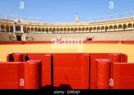 La Maestranza Bullring in Seville, Andalusia, Spain. Stock Photo