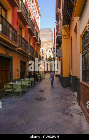 Velas, Canopies, providing Shade in historic centre, Santa Cruz, Seville, Andalucia, Spain. Stock Photo