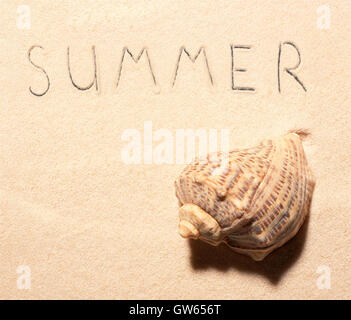 Sea shell and summer lettering drawn on sand. Summer beach background. View from above Stock Photo