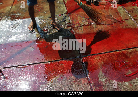 West Jakarta, Jakarta, Indonesia. 14th Feb, 2013. Indonesian muslim man cleaning the blood on the floor during celebrations of Eid al-Adha on September 12, 2016 in Jakarta, Indonesia. Muslims worldwide celebrate Eid Al-Adha, to commemorate the Prophet Ibrahim's readiness to sacrifice his son as a sign of his obedience to God, during which they sacrifice permissible animals, generally goats, sheep, and cows. © Afriadi Hikmal/ZUMA Wire/Alamy Live News Stock Photo