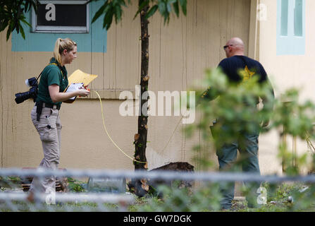 September 12, 2016 - fl-omar-mateen-mosque-fire - Investigators with the St. Lucie County Sheriff's Office work in a yard Monday at the Fort Pierce Islamic Center after an apparent arsonist started a fire at the back of the center earlier that morning. Adam Sacasa, South Florida Sun Sentinel.SOUTH FLORIDA OUT; NO MAGS; NO SALES; NO INTERNET; NO TV. © Sun-Sentinel/ZUMA Wire/Alamy Live News Stock Photo