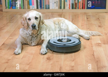 Robot vacuum sale golden retriever