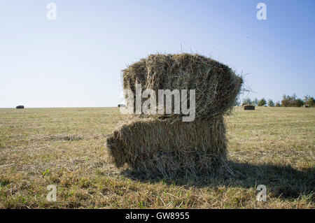 hay pack bale, second hay crop, cut dried grass Stock Photo, Royalty ...