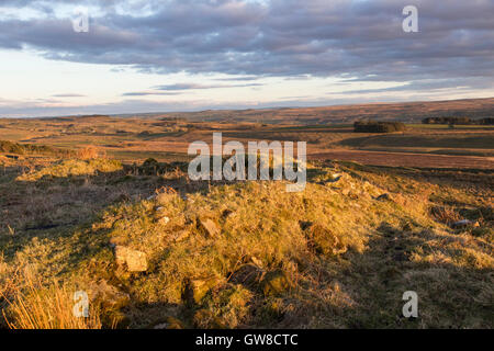 Milecastle 44 on Hadrian's Wall, near Alloa Lea - the view looking south-east over the south-western corner of the milecastle Stock Photo