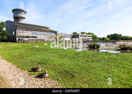 The Sloane Severn Trent observatory tower at the Wildfowl and Wetlands Trust Slimbridge Wetland Centre, Slimbridge, Gloustershire Stock Photo