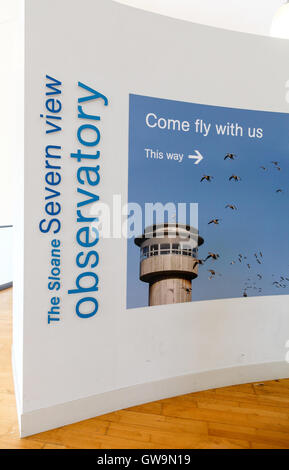 The Sloane Severn Trent observatory tower at the Wildfowl and Wetlands Trust Slimbridge Wetland Centre, Slimbridge, Gloustershire Stock Photo